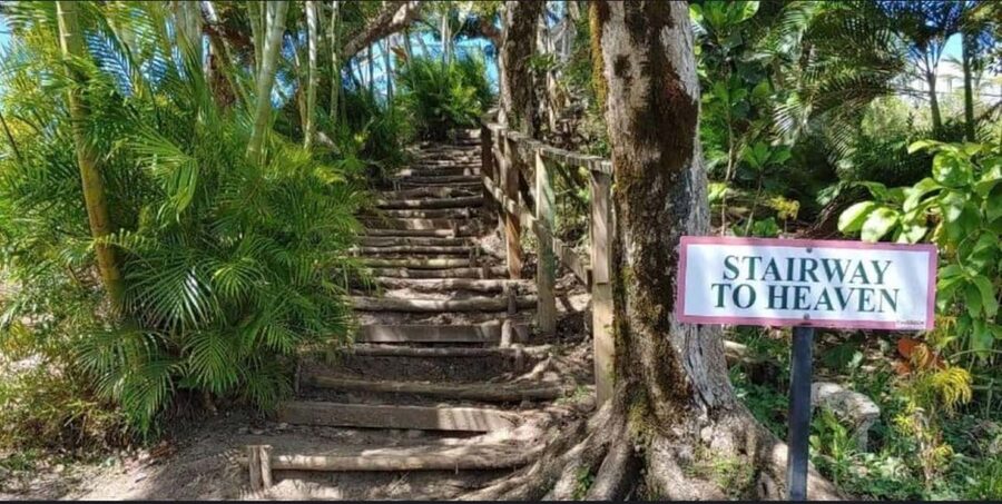 St. Lucia: Scenic Nature Hike & Botanical Garden Escape - What the private price really buys you