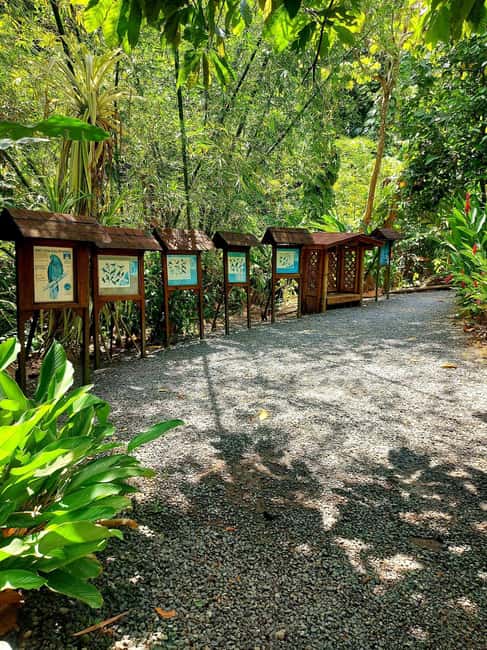 St. Lucia: Scenic Nature Hike & Botanical Garden Escape - Leaving Castries and Gros Islet by Jeep or SUV