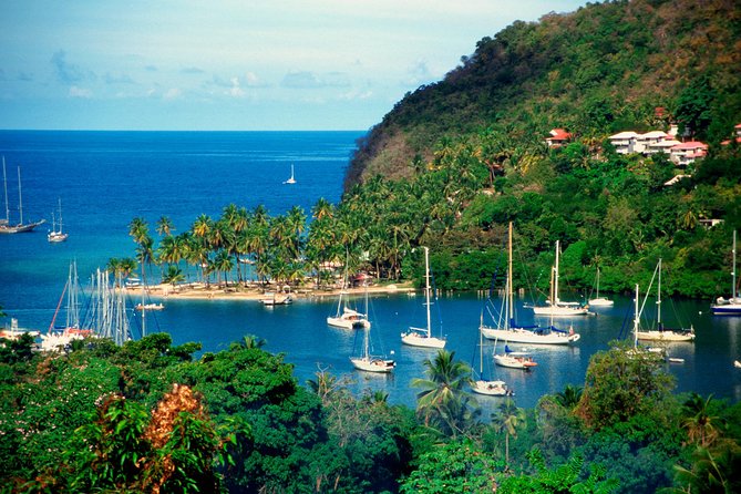St Lucia Shore Excursion: Land & Sea Tour - Marigot Bay and the banana country