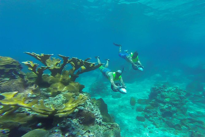 St. Lucia Speedboat and Power Snorkel From Castries - The cruise back through Marigot Bay