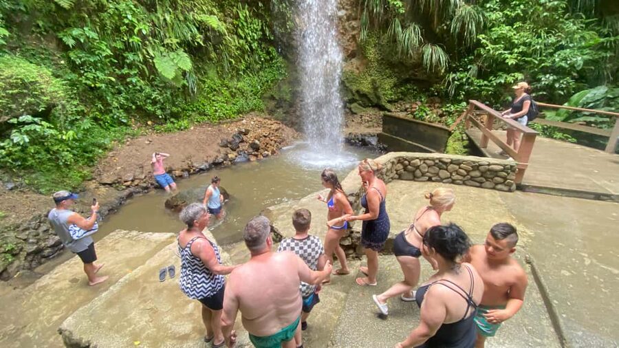 St Lucia Sulphur Springs Drive- in Volcano Tour & Waterfall - Botanical Gardens for plant lovers