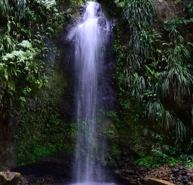 St. Lucia: Sulphur Springs Mud Bath and Toraille Waterfall - Transport comfort may vary