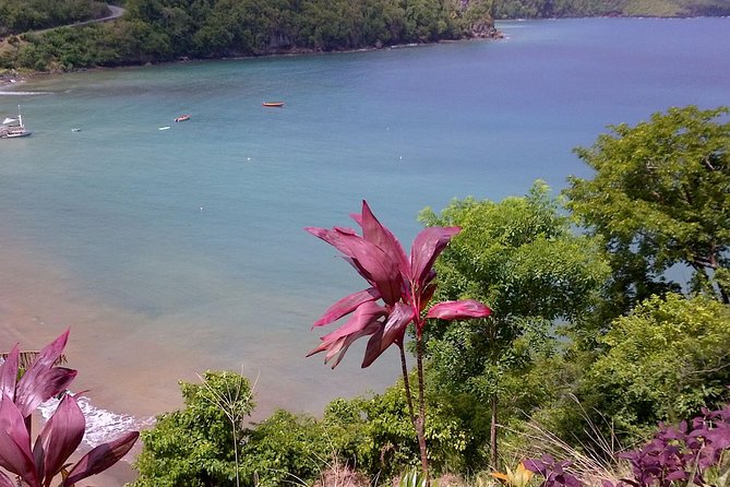 St. Lucia Tet Paul Nature Trail Tour - What the Guides Add to the Day