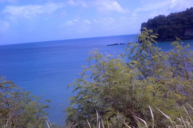 St. Lucia Tet Paul Nature Trail Tour - Is $145 a Fair Price?