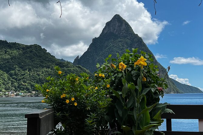 St Lucia Transport from Hewanorra Airport Private Transfer - Meeting Your Driver After Customs