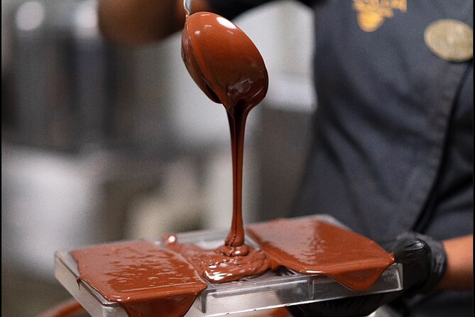 St Lucia Treasures - (Chocolates Rum and Rafting) - Howelton Estate starts with cacao