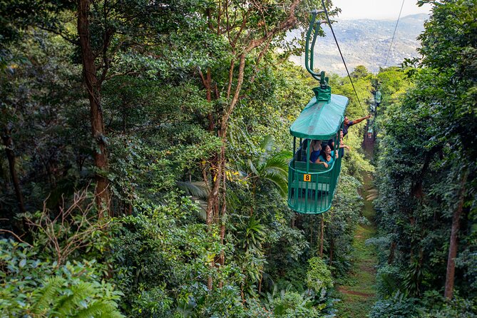 St Lucia Ultimate 3: Aerial Tram, Zipline and Hiking at Rainforest Adventures - Key points at a glance