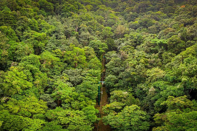 St Lucia Ultimate 3: Aerial Tram, Zipline and Hiking at Rainforest Adventures - The aerial tram through St Lucia’s forest