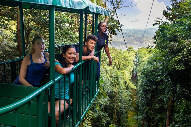St Lucia Ultimate 3: Aerial Tram, Zipline and Hiking at Rainforest Adventures - The return walk and second tram ride