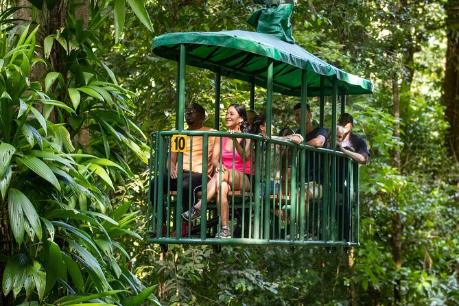 St Lucia Ultimate 3: Aerial Tram, Zipline and Hiking at Rainforest Adventures - What happens at the base station