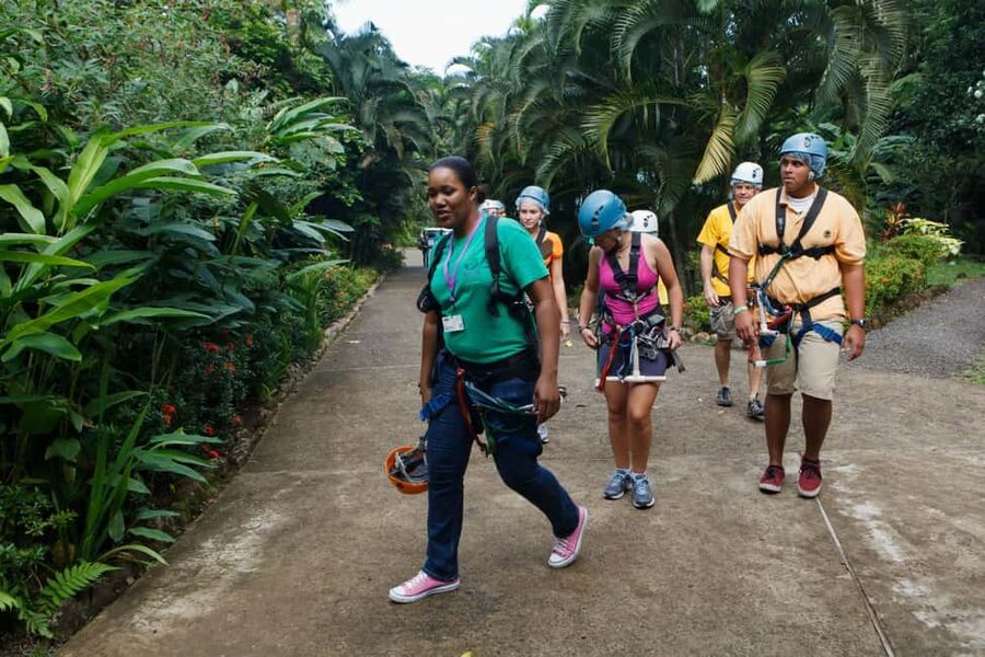 St Lucia Ultimate 3 Package: Aerial Tram Zip Line & Hiking - Zip lining through the Caribbean canopy