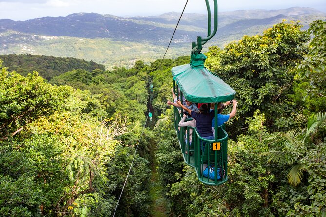 St Lucia Ultimate 3 Package: Aerial Tram, Zipline and Hiking - Three ways to see the Castries Waterworks Reserve