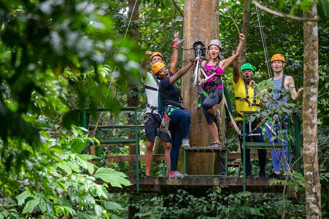 St Lucia Ultimate 3 Package: Aerial Tram, Zipline and Hiking - The winding road to the forest