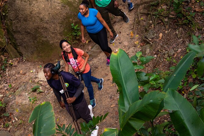 St Lucia Ultimate 3 Package: Aerial Tram, Zipline and Hiking - How the three activities fit together