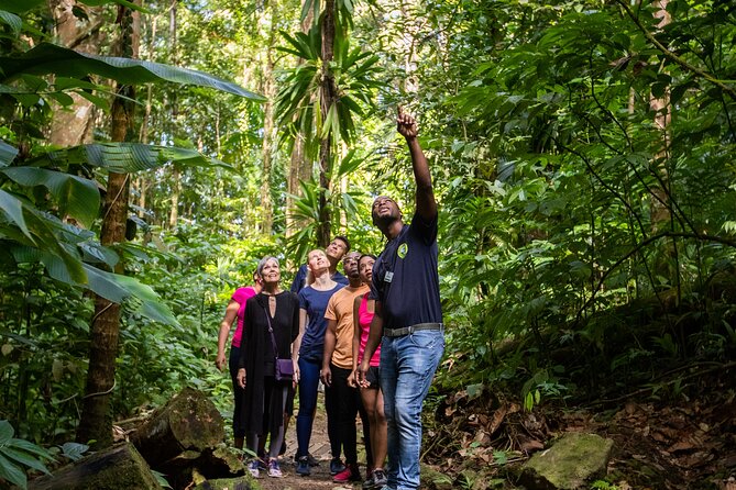 St Lucia Ultimate 3 Package: Aerial Tram, Zipline and Hiking - Who will enjoy this St Lucia adventure?