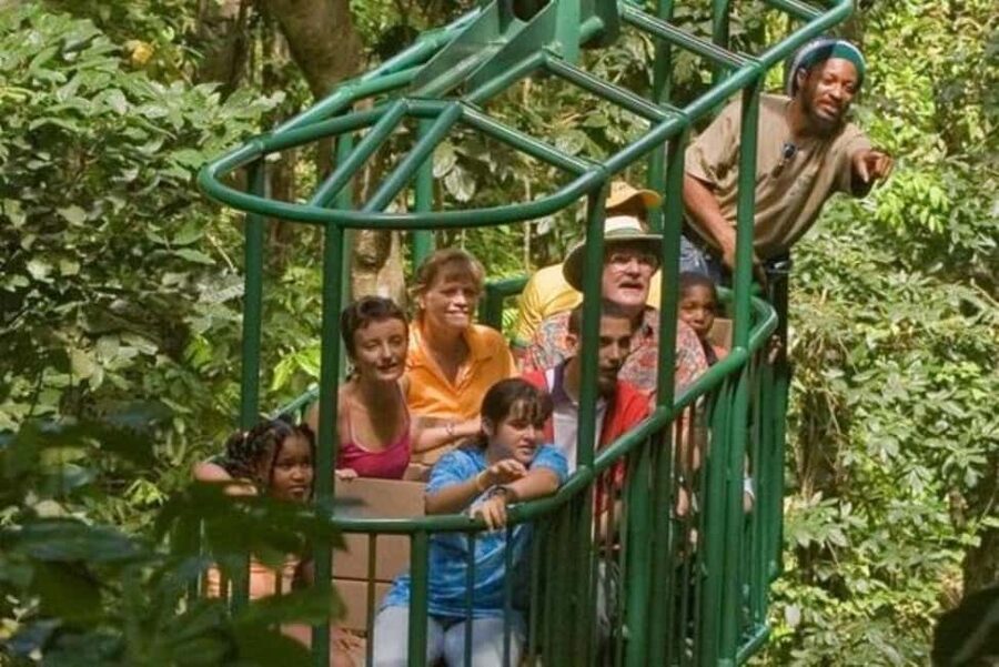 St. Lucia: Zip Line, Aerial Tram, and Hiking Tour - Ten zip lines through St. Lucia’s canopy