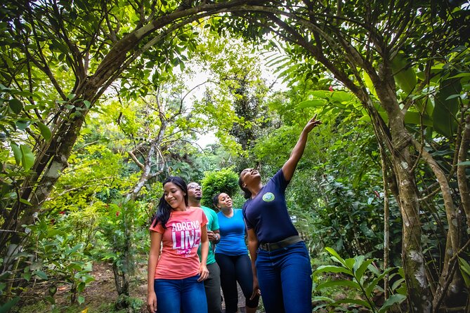 St. Lucia Zip line, Aerial Tram and Hiking tour Ultimate 3 - Is $95 good value?