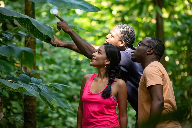 St. Lucia Zip line, Aerial Tram and Hiking tour Ultimate 3 - Who will enjoy this most?