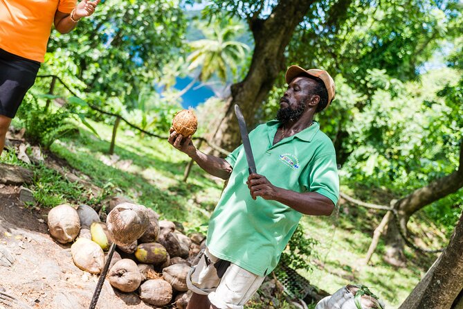 Tet Paul Hike & Soufriere Catamaran Experience - Passing Pigeon Island by Boat