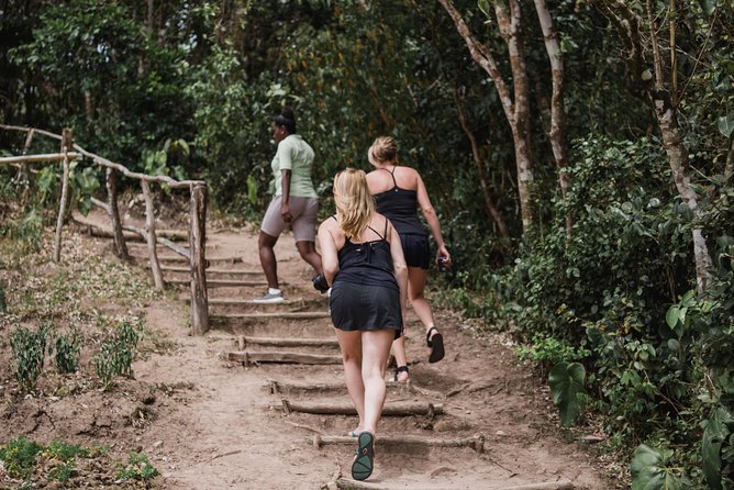 Tet Paul Nature Trail Tour - The Piton Viewpoint Is the Main Event