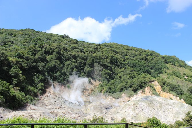 The Best of Saint Lucia Tour - The drive is part of the experience