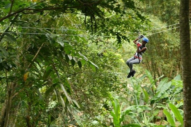 Treetop Adventure Park Canopy Tour - The east-coast ride sets the pace