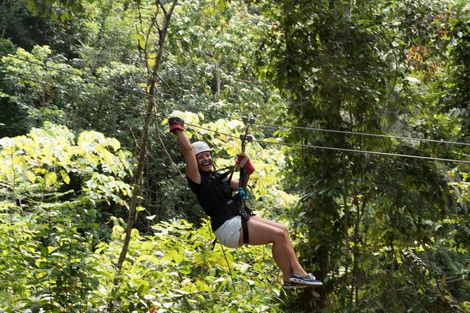 Treetop Adventure Park Canopy Tour - Twelve lines through the trees