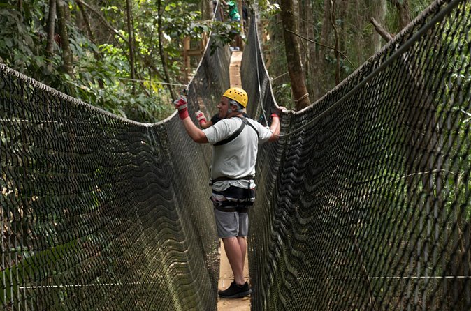 Treetop Adventure Park Canopy Tour - The views are worth looking up from the line