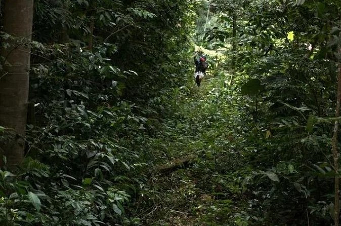 Treetop Adventure Park Canopy Tour - Photos without juggling your phone