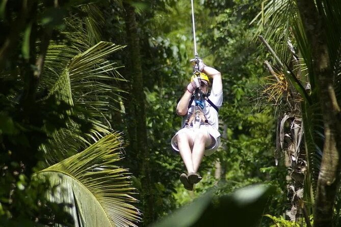 Treetop Adventure Park Canopy Tour - A short break, possible food, and the ride back