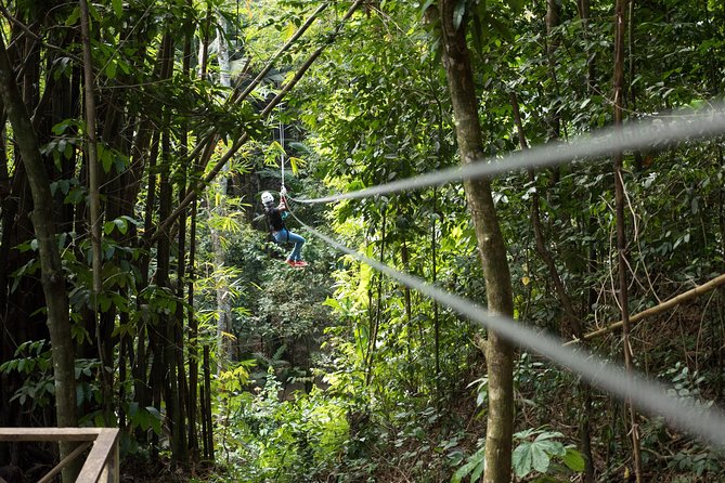 Treetop Canopy Adventure - What the five-hour St. Lucia canopy adventure is really like