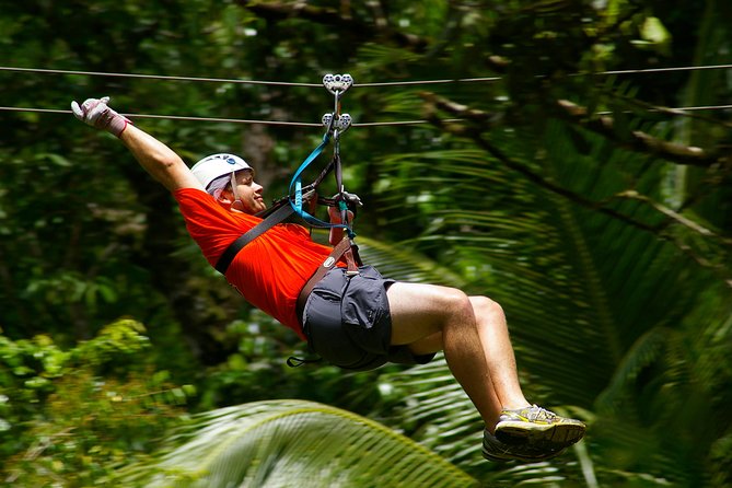 Treetop Canopy Adventure - Eleven ziplines, including St. Lucia’s longest and highest