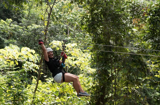 Treetop Canopy Adventure - Is $92.31 a fair price?