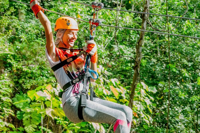 Treetop Zipline Experience From Castries - Crossing the net bridge