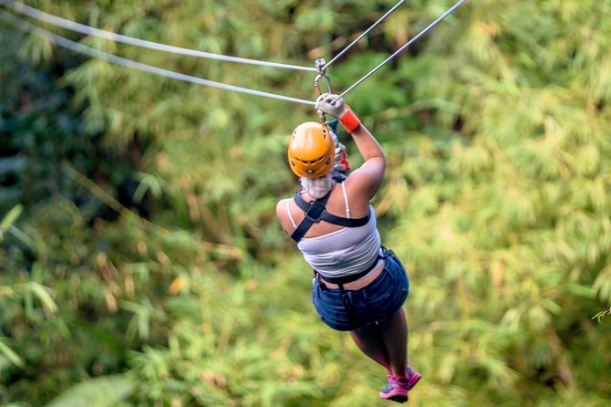 Treetop Zipline Experience From Castries - The longest, fastest, and highest rides