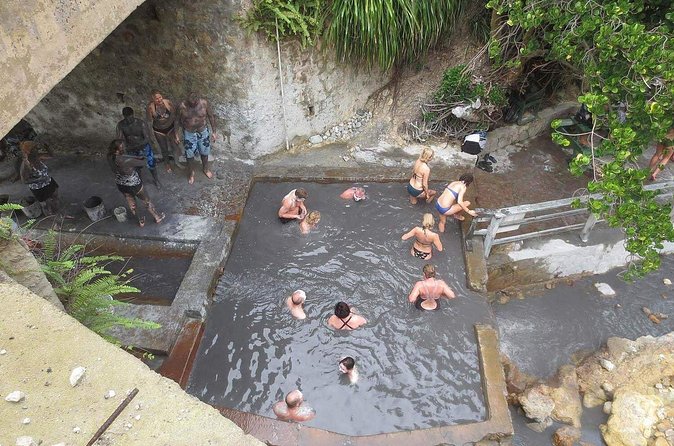 Volcanic Tour and Botanical Gardens - Sulphur Springs brings the volcanic setting close