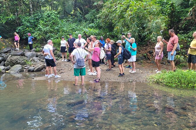 Waterfall and Beach Safari in Santa Lucia - Anse La Raye feels more local than a resort stop