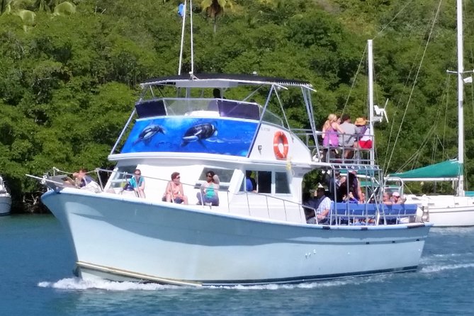 Whale and Dolphin Watching Cruise in St Lucia - Leaving Vigie Marina at 8:00 am