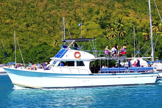 Whale and Dolphin Watching Cruise in St Lucia - What a successful sighting can look like