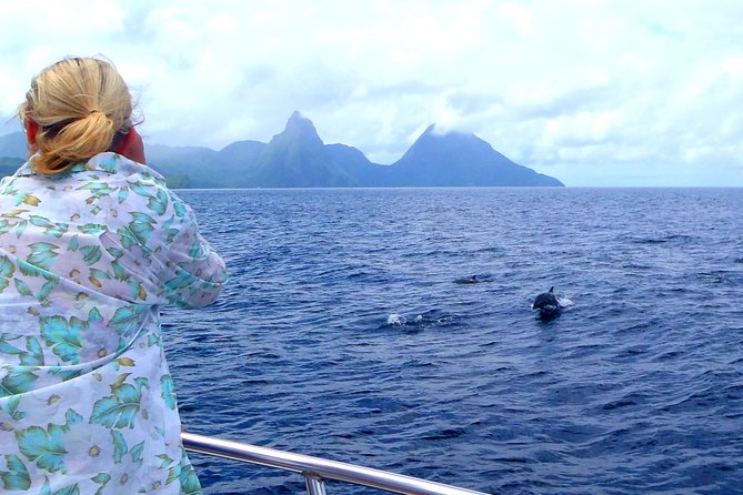 Whale and Dolphin Watching Cruise in St Lucia - The best time and the right type of passenger