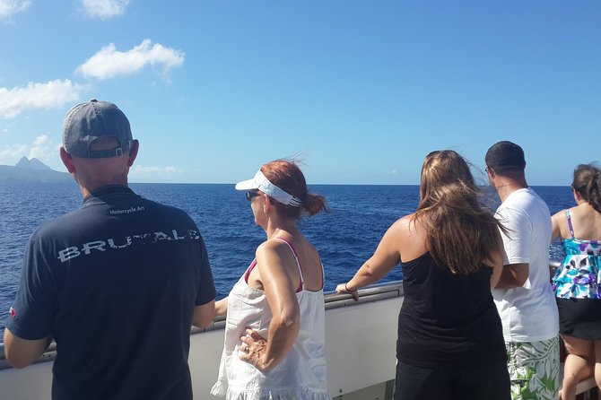 Whale Watching and Dolphin Spotting Cruise - The moment a whale or dolphin appears