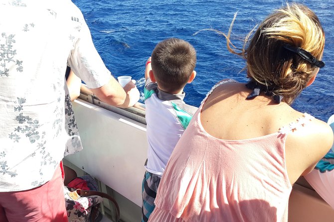 Whale Watching and Dolphin Spotting Cruise - Comfort, seating, and what to pack
